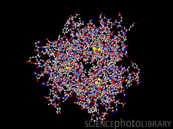 TNF是肿瘤坏死因子-α（Tumor Necrosis Factor）的简写，是一种能够直接杀伤肿瘤细胞而对正常细胞无明显毒性的细胞因子，