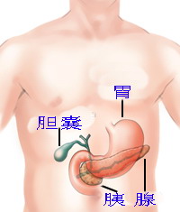 PNAS：用特异性基因突变诊断胰腺囊肿